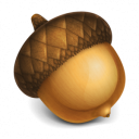 acorn file icon